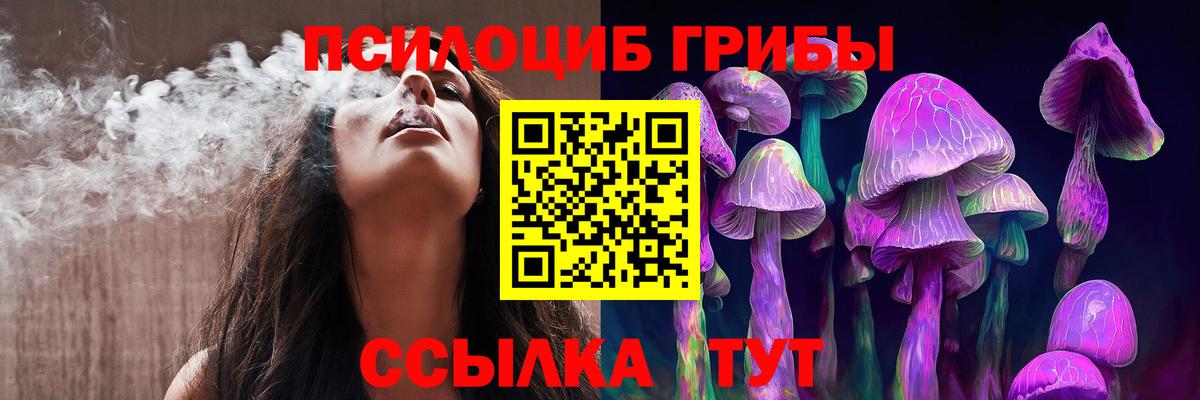 Калининград  Псилоцибиновые грибы Cubensis  Вход с VPN 